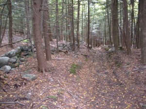 Rural Massachusetts